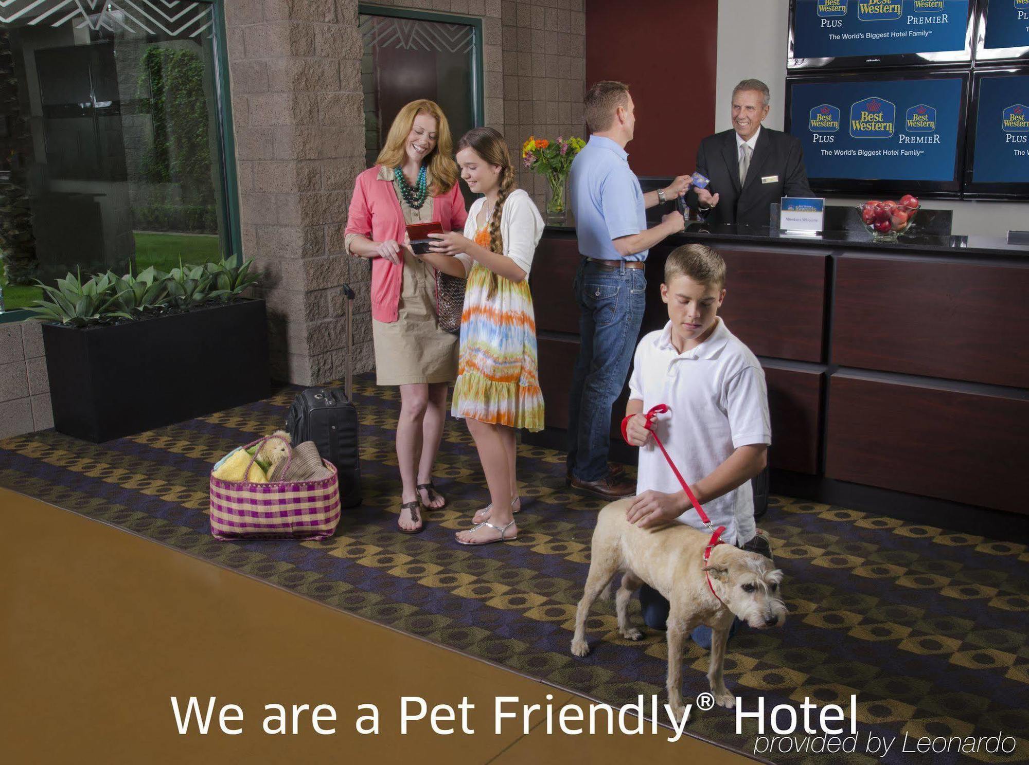 Best Western Plus Lake Elsinore Inn & Suites Dış mekan fotoğraf